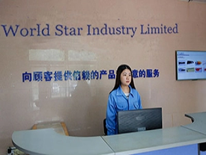 Shenzhen World Star Industry Limited