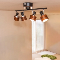 Celling Fan light