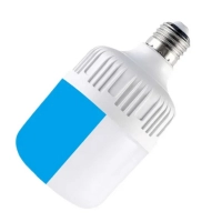 10W Color Bulb LED Lamp